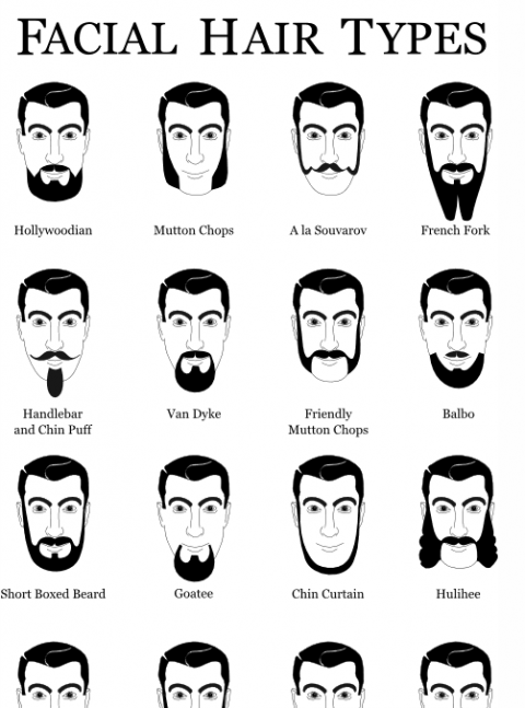 swissmiss | Expanded Beard Type Chart